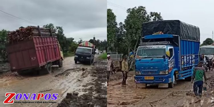 Kondisi Terkini Ruas Jalan Nasional Jambi-Kuala Tungkal